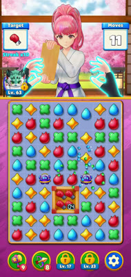Dojo puzzle